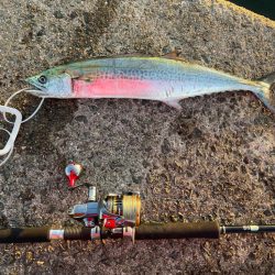 久しぶりのジギング