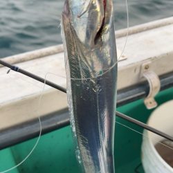 初めての船タチウオ