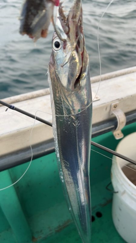 初めての船タチウオ