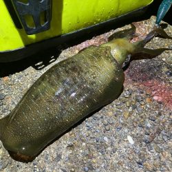 爆風、うねりの中ナイトエギングσ(^_^;…