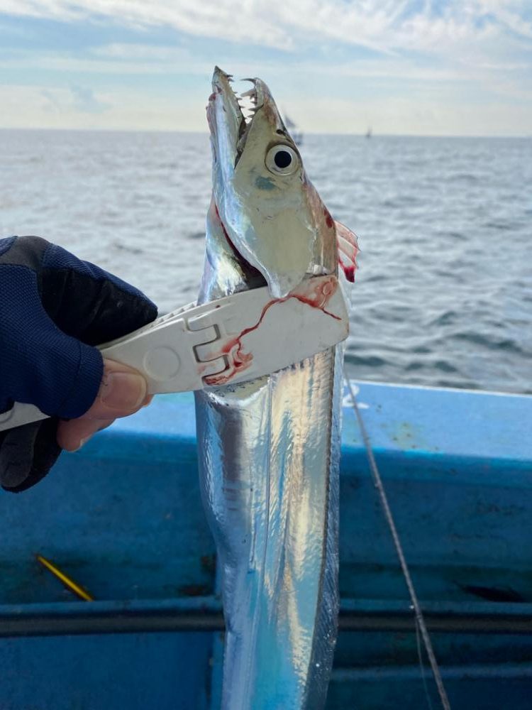 タチウオジギング