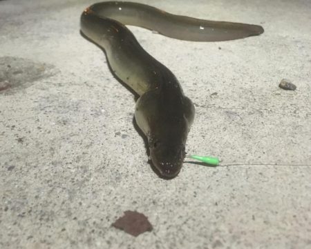 最後の一投で‥