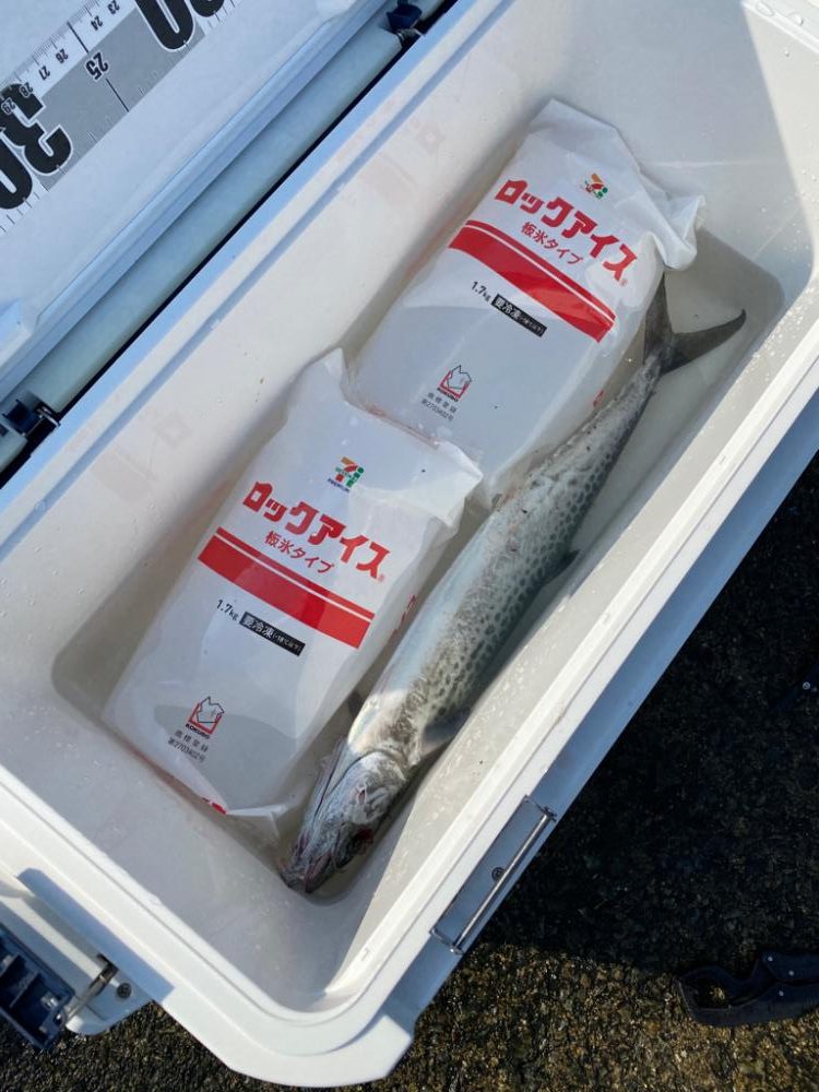 3バラシ1ゲット