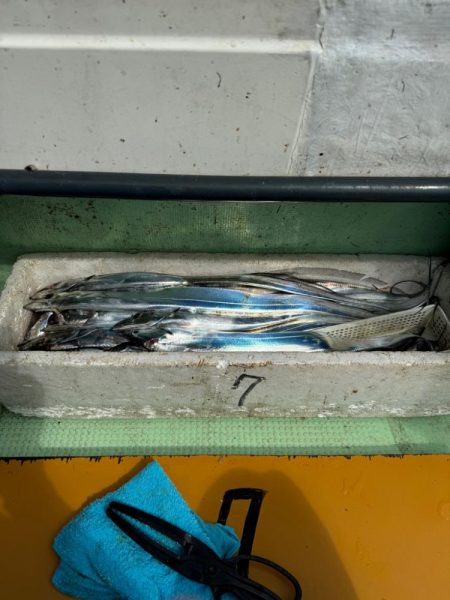 石定丸さんでタチウオテンヤ