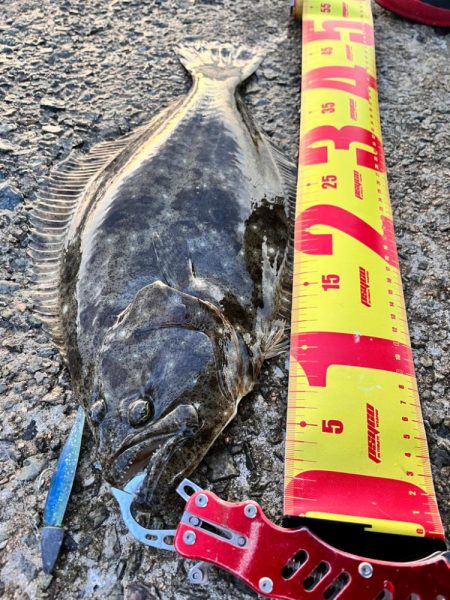 ヒラメとハマチ