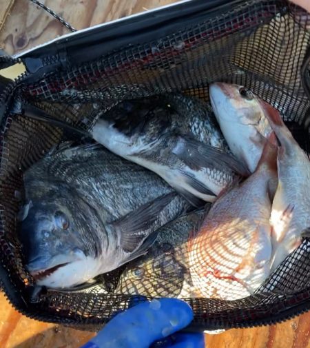 初牡蠣筏フカセ釣り！