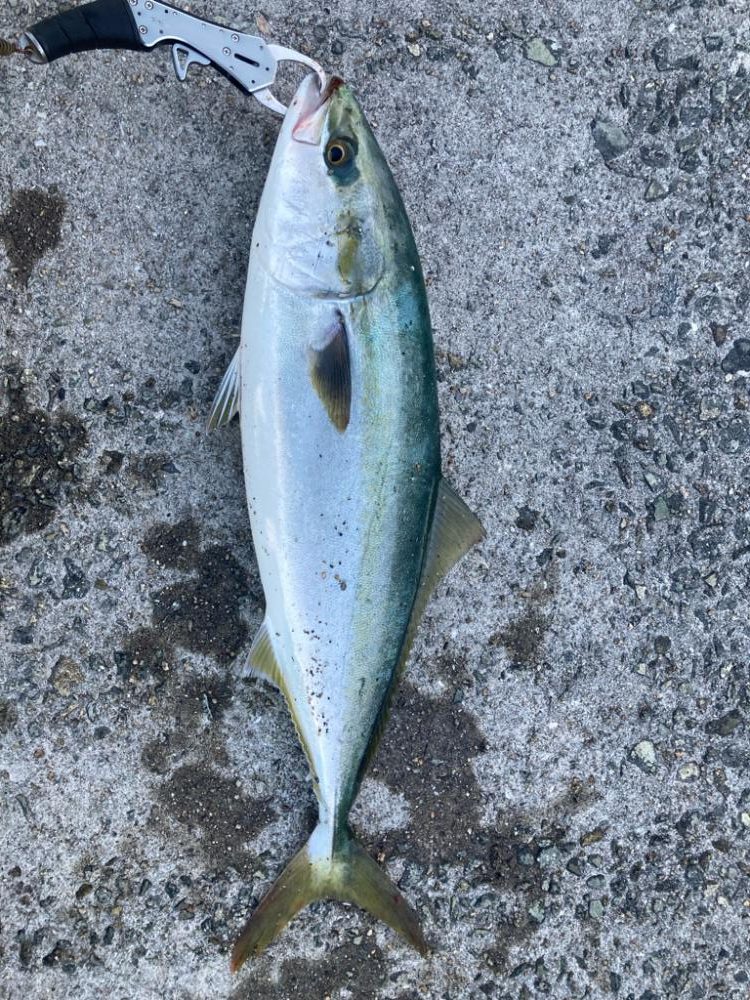 2023ライトゲーム第38戦