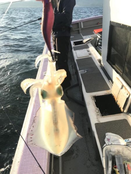 淡路ティップラン