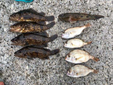 投げ釣りandチビロックゲーム