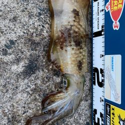 今シーズン初！