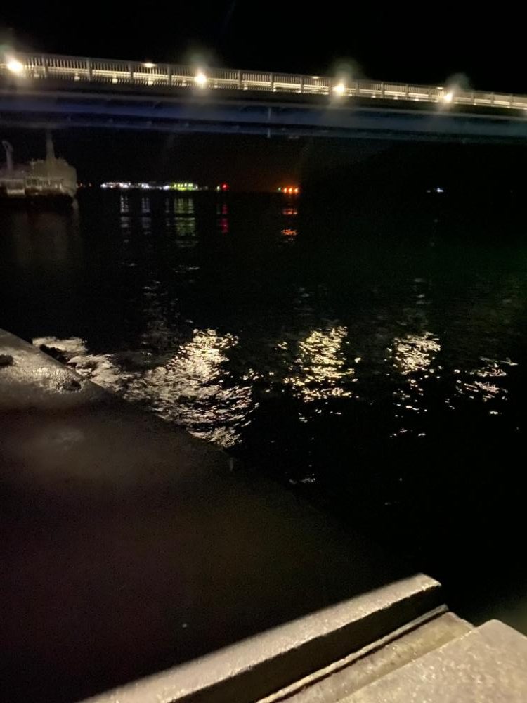 アジング…のはずが…