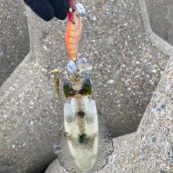 出勤前約1時間のデイエギング(^^)