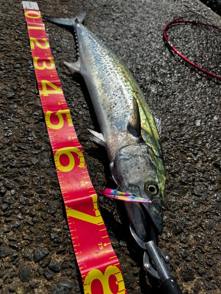 フリフリバイブ