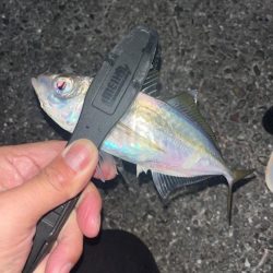 ど干潮からのスタート