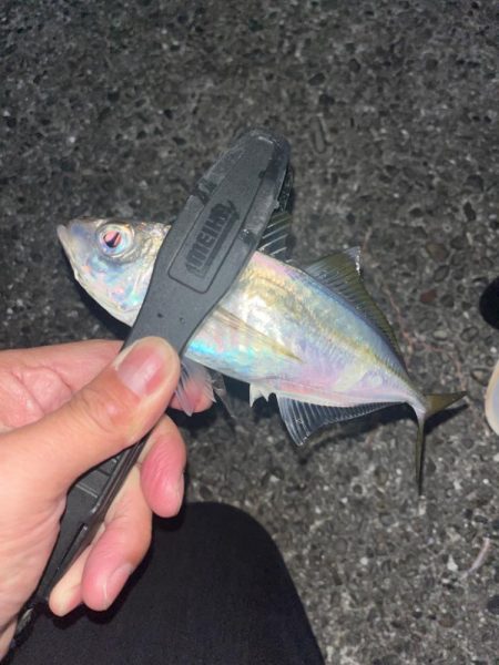 ど干潮からのスタート