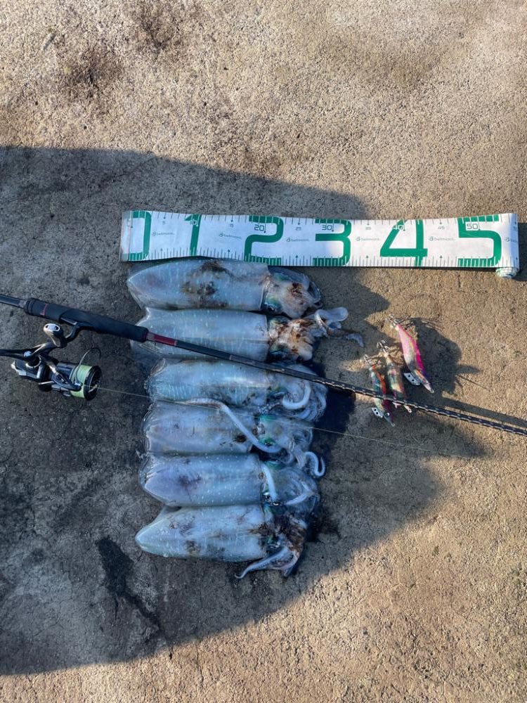 2023 佐渡ヶ島エギング 22回目【10月3日】