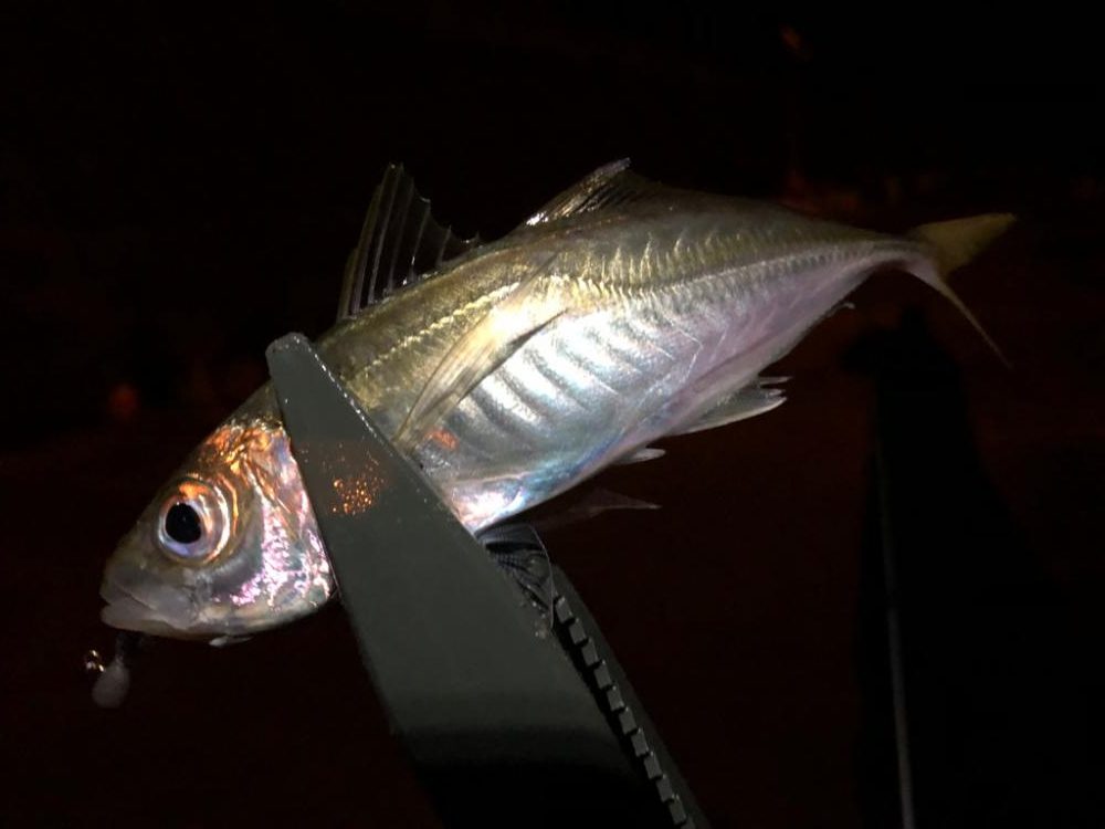 ライトゲーム最高😁✨✨