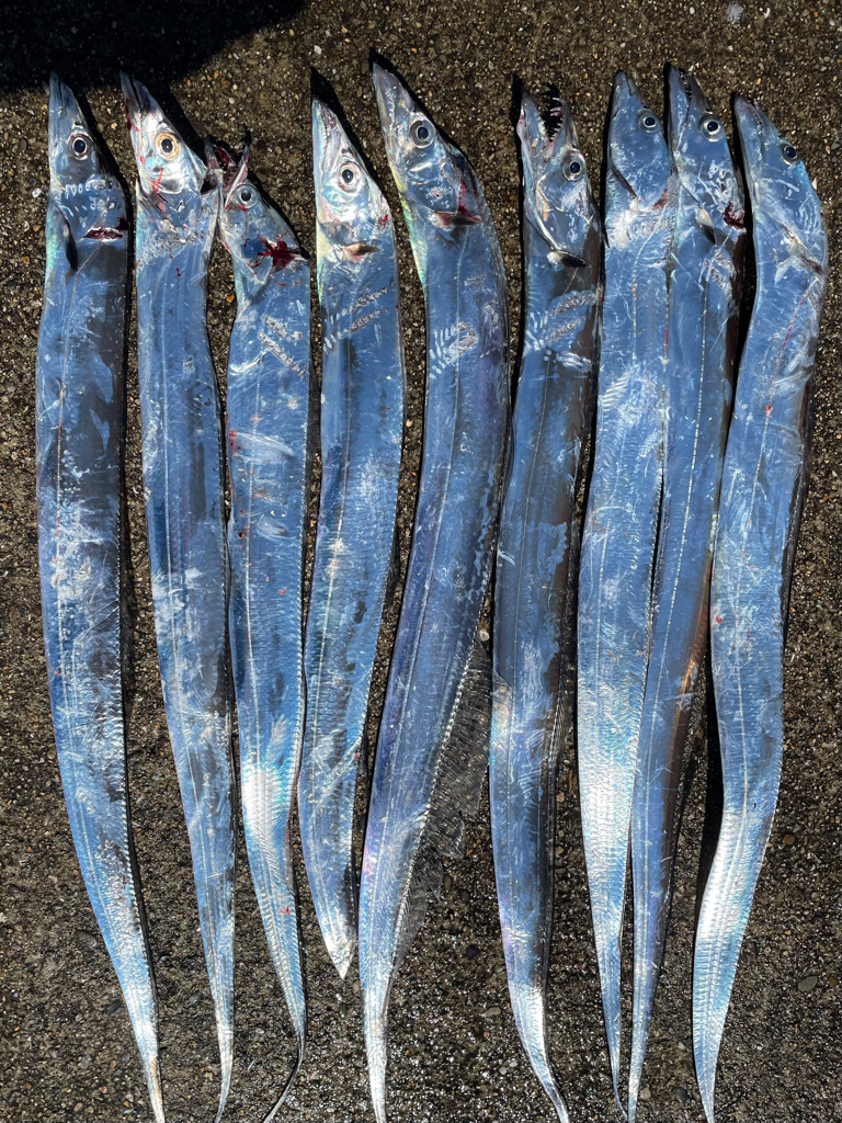 相変わらずのバラシ。