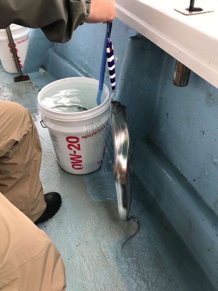 タチウオジギング