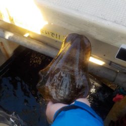 初アオリ・カワハギリレー船〜盛和丸〜