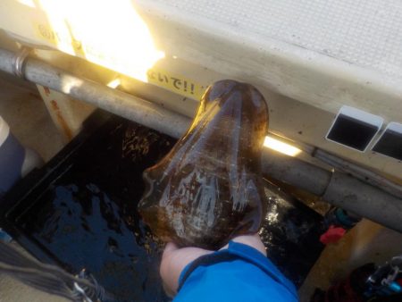 初アオリ・カワハギリレー船〜盛和丸〜