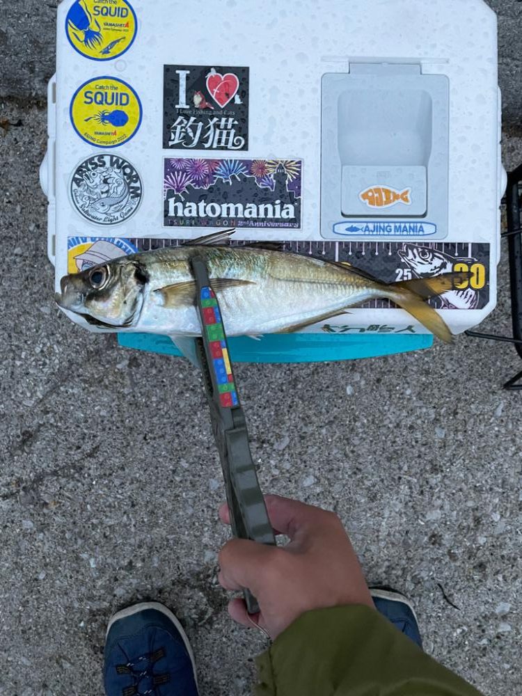 先週のリベンジへ