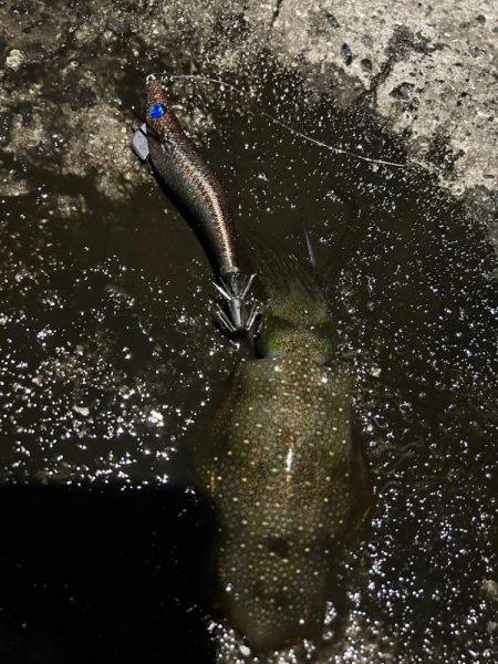 ポイント変更して！