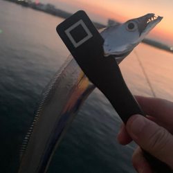 気温も釣果も激さぶ！