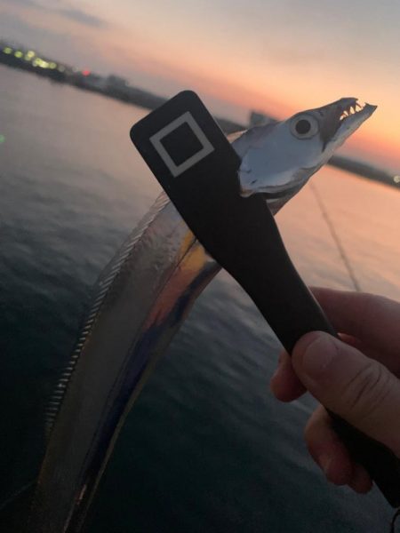 気温も釣果も激さぶ！