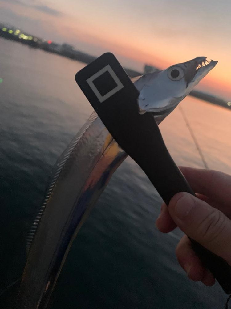 気温も釣果も激さぶ!