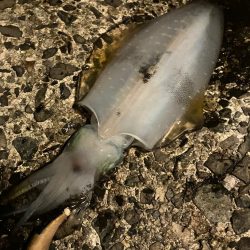 釣れてくれてありがとう。