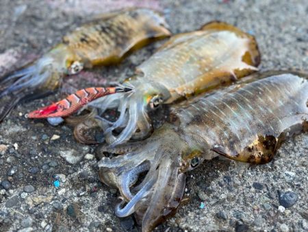 お友達と一緒に