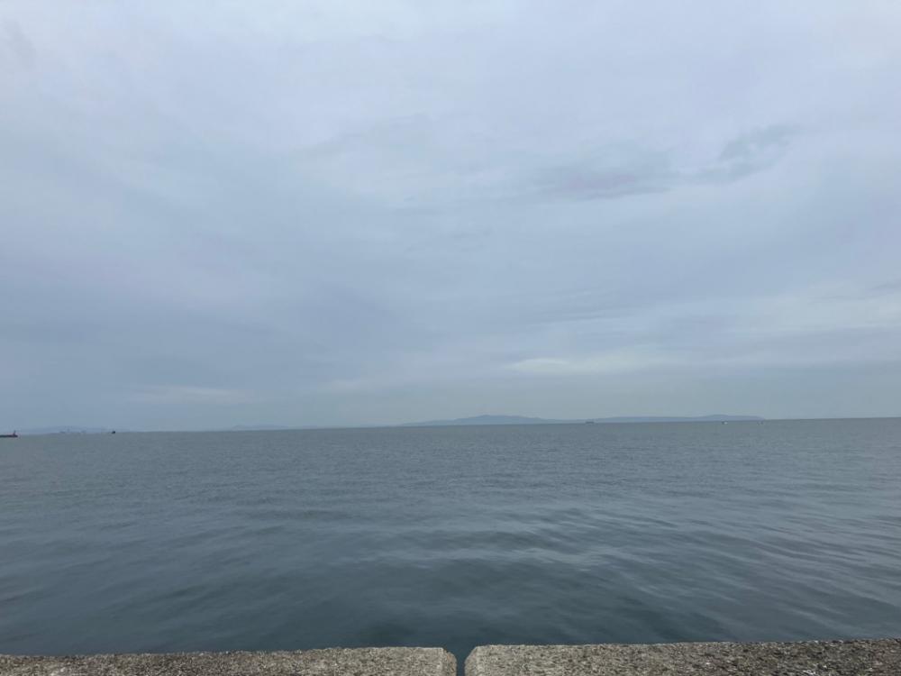 タチウオ釣れず