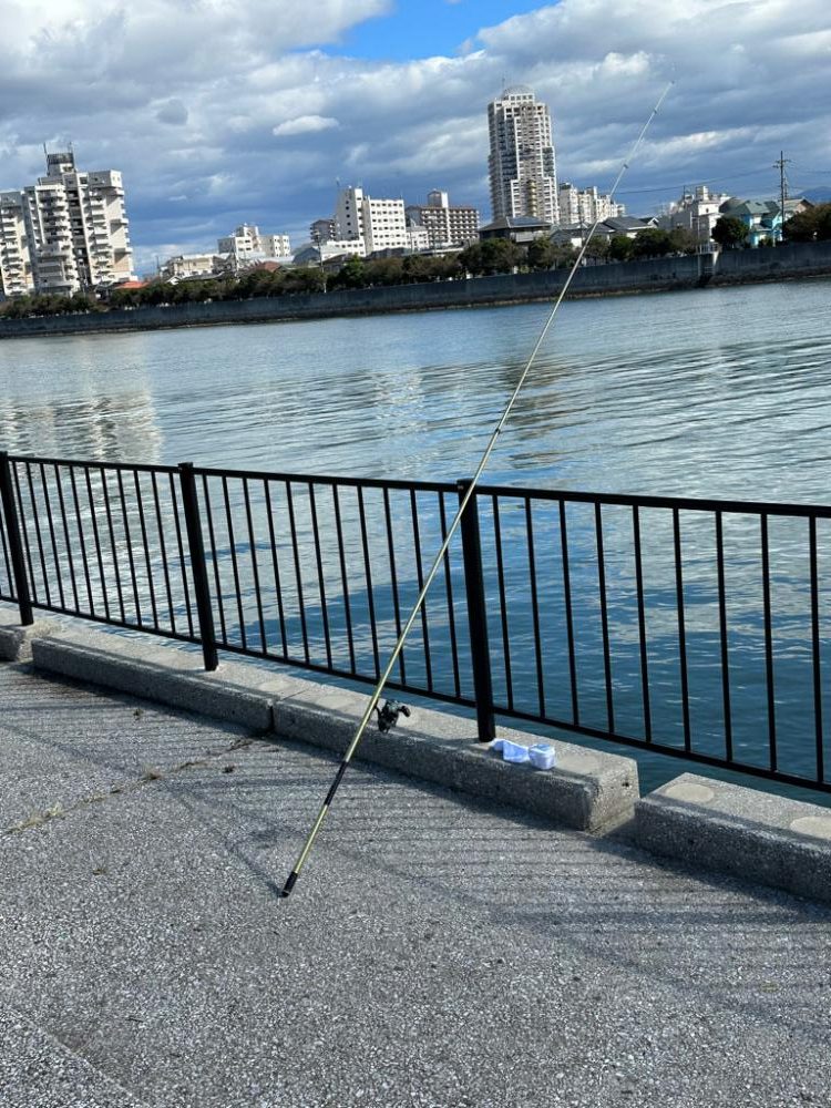 カレイ、五目釣り