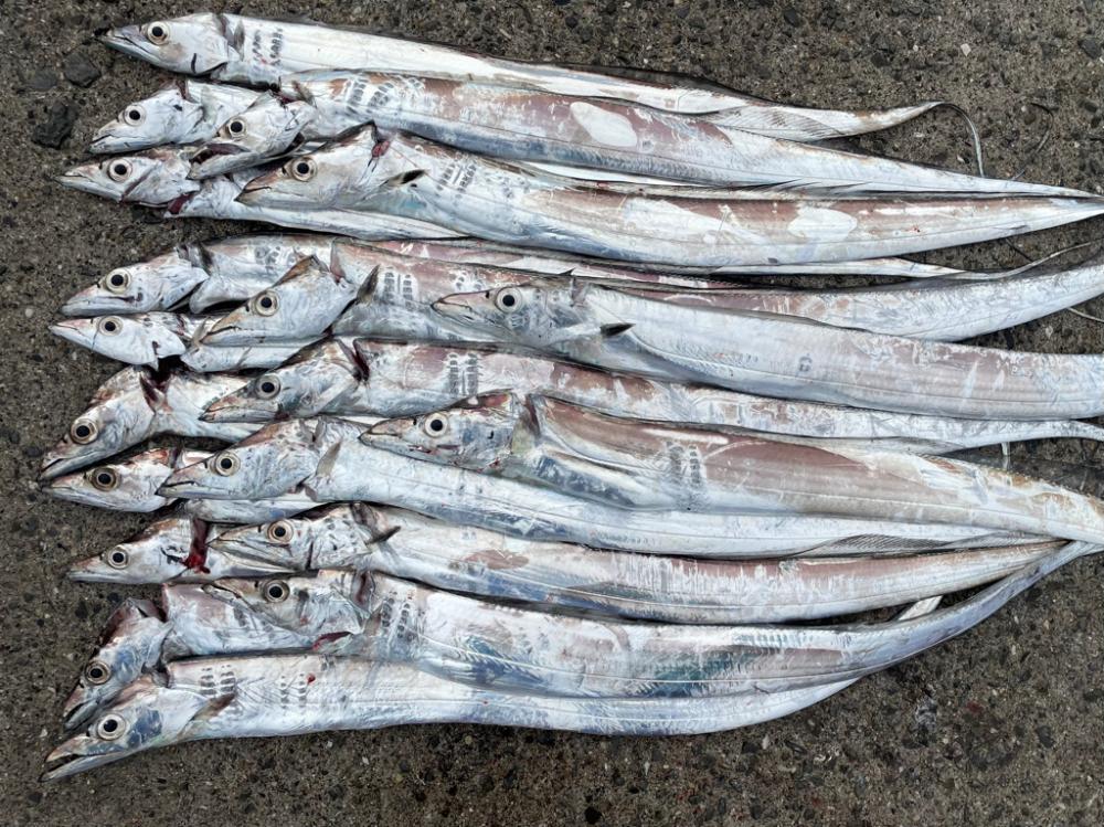 惜しくも、、、