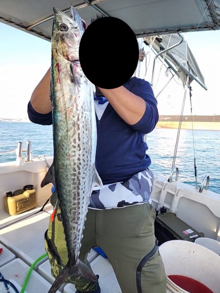 ハマチろうそく＆サワラカッター多め