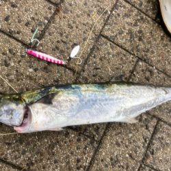 ずぶ濡れになりながら何とか一本！