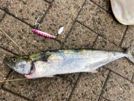 ずぶ濡れになりながら何とか一本！