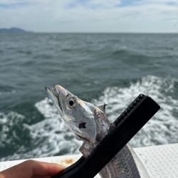 伊勢湾ジギング