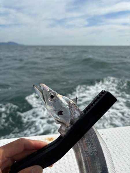 伊勢湾ジギング