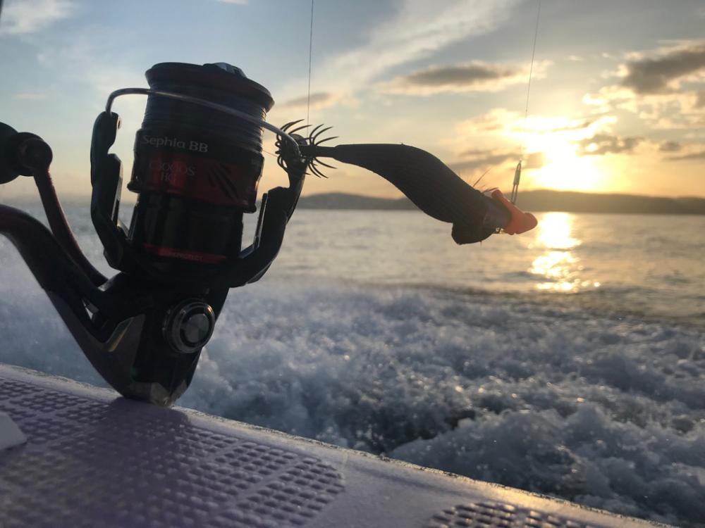 淡路島のティップラン