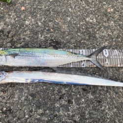 ラッキーダブルパンチ！！