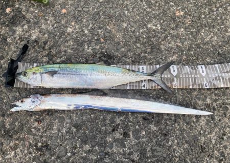 ラッキーダブルパンチ！！