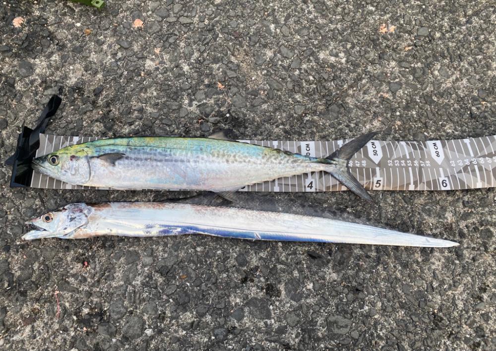 ラッキーダブルパンチ！！