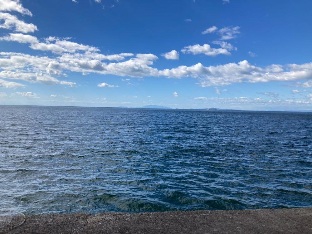 渋い？こんなもん？