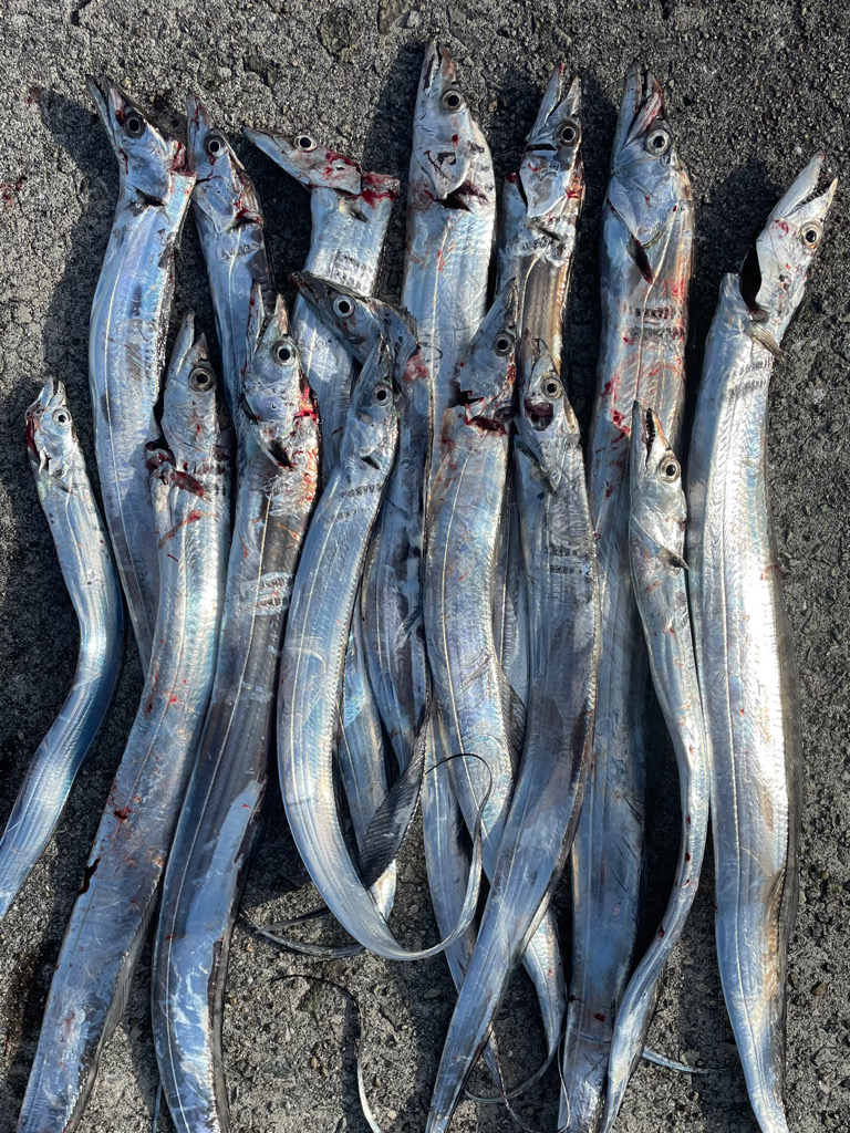 今年初ツ抜け‼️