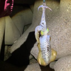 風うねりのある中ナイトエギングσ(^_^;)