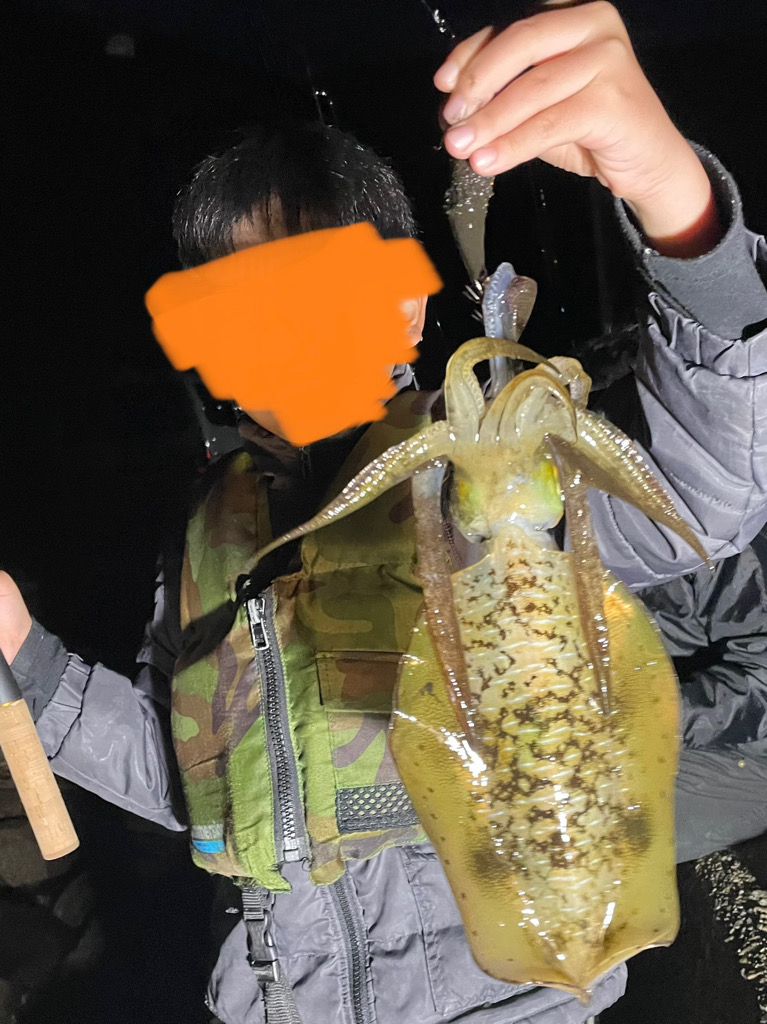 舞鶴　夕まずめ狙い！