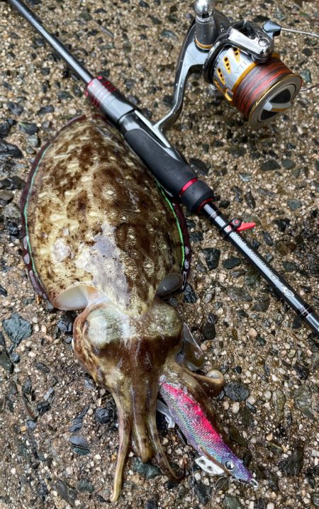 新しいラインで！