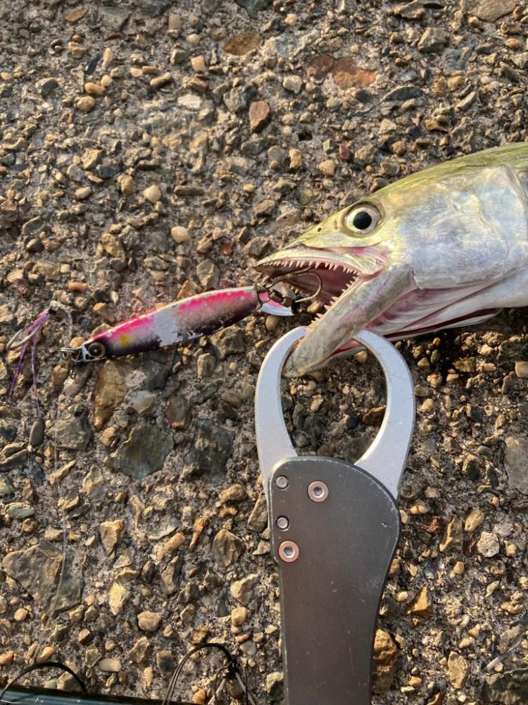 ⭐️もったいない釣行